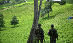 Des membres de l'Etat-Major Central (EMC), faction de dissidents des FARC, surveillent des plantations de coca dans le canyon de Micay, une zone montagneuse et un bastion de l'EMC dans le département de Cauca (sud-ouest), en Colombie, le 24 mars 2024 ( AFP / Raul ARBOLEDA )