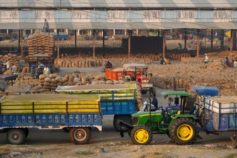 Des remorques de tracteur chargées de riz attendent d'être déchargées sur un marché céréalier à Karnal