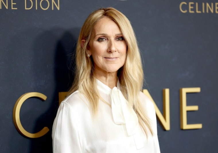 Celine Dion à New-York le 17 juillet 2024  ( GETTY IMAGES NORTH AMERICA / Cindy Ord )