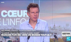 Marche forcée vers un monde tout-IA ?