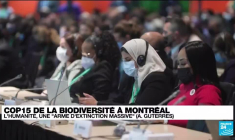 COP15 de la biodiversité : l'humanité, une "arme d'extinction massive"