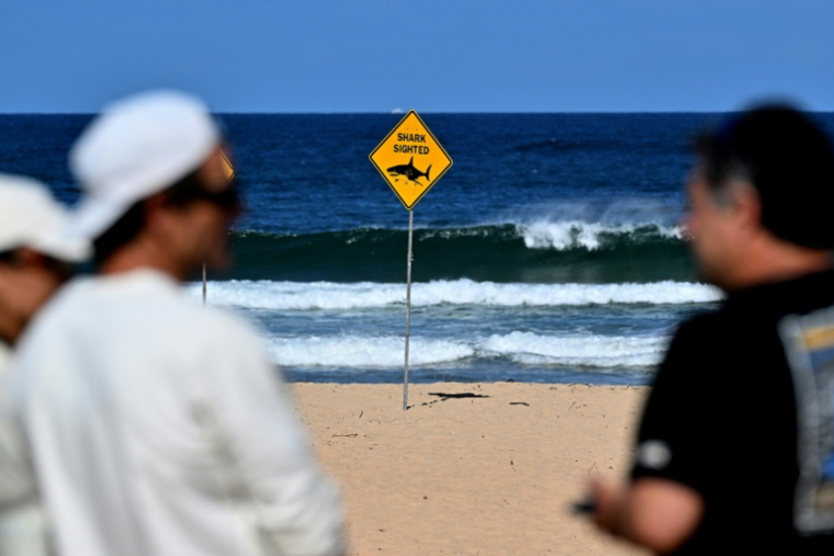 Des habitants sur une plage de Sydney fermée à la suite d’une attaque de requin à Long Reef Beach, le 6 septembre 2025. ( AFP / Saeed KHAN )