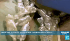 L’économie verte en Afrique "permet d’assurer la croissance économique et l'inclusion sociale"