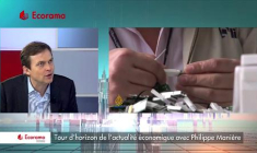 "Le FMI a une bonne continuité dans la médiocrité", selon Philippe Manière (VIDEO)