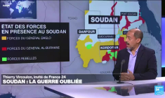 Thierry Vircoulon : " Les gens souffrent plus des conséquences de la guerre que des combats "
