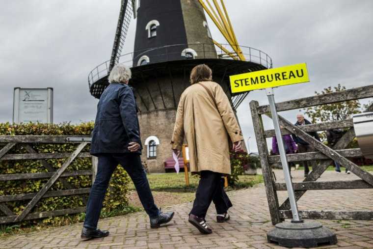 Des néerlandais viennent voter à Oisterwijk, dans le sud des Pays-Bas, le 29 octobre 2025 ( ANP / ROB ENGELAAR )