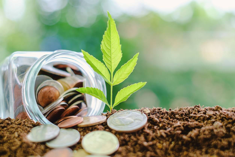 Votre jardin peut-il devenir un petit business lucratif ? / iStock.com - iamnoonmai