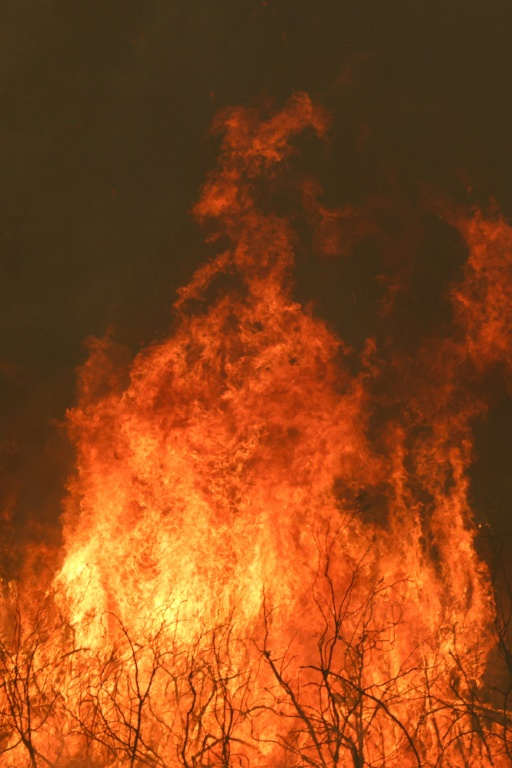 Incendie de forêt à Marcheprime, à l'ouest de Bordeaux le 26 juillet 2026  ( AFP / Alain JOCARD )