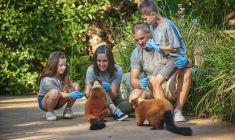 Immergez-vous dans le quotidien des soigneurs du zoo de la Flèche, pour vivre une expérience inoubliable. ( crédit photo : V. Corvasier )