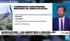 Des tracteurs à Bruxelles pour faire pression sur les ministres de l'agriculture