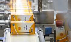 ( AFP / ALAIN JOCARD )