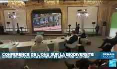 Conférence de l'ONU sur la biodiversité : gzuider les actions pour protéger et restaurer la nature