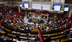 ( AFP / THOMAS SAMSON )