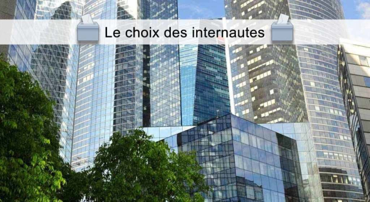 L'action Société Générale a obtenu le suffrage des internautes. (© Société Générale)