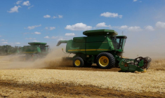 Des moissonneuses-batteuses récoltent du blé dans un champ près de la localité de Nikolske dans la région de Donetsk, en Ukraine contrôlée par la Russie