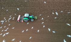 ( AFP / DAMIEN MEYER )