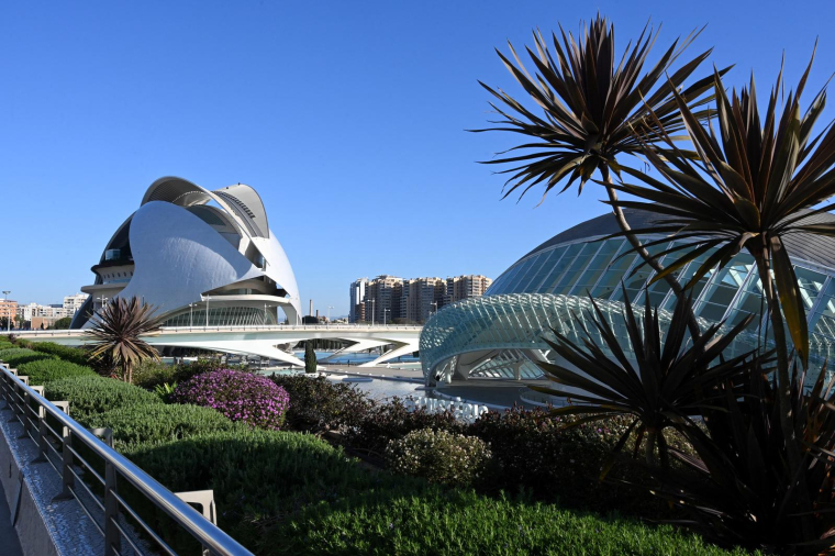 ( AFP / CHRISTOF STACHE )