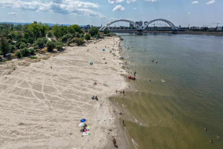 Le bas niveau du Danube près de Novi Sad, en Serbie, le 19 juillet 2026 ( AFP / Nenad MIHAJLOVIC )