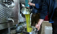 Production d'huile d'olive au moulin de Ben Bazza dans le nord de la Tunisie le 12 novembre 2025. Le prix des huiles végétales baisse de 2,6% en novembre. ( AFP / FETHI BELAID )