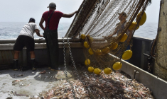 ( AFP / RAYMOND ROIG )
