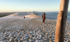 Vague de froid: la dune du Pilat recouverte d'un manteau de givre