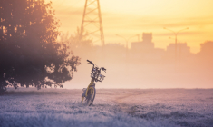 Comment protéger son vélo du vol (Crédits photo : Shutterstock)