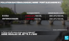 JO-2024 : la Seine est-elle assez propre pour la baignade ?
