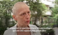 Loi Duplomb: après la pétition, scientifiques et collectifs veulent convaincre les Sages