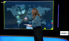 Ali Lapin, Aïsha de Pâques, "lapin assis" : ces intox qui font bondir l'extrême-droite allemande