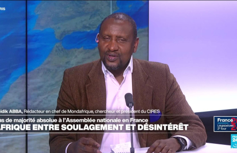 Résultat des législatives françaises : entre soulagement et désintérêt en Afrique
