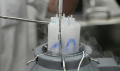 Flacons contenant du sperme congelé au Centre d'étude et de conservation des œufs et du sperme humains (CECOS), à Rennes, le 12 mars 2024 ( AFP / Damien MEYER )