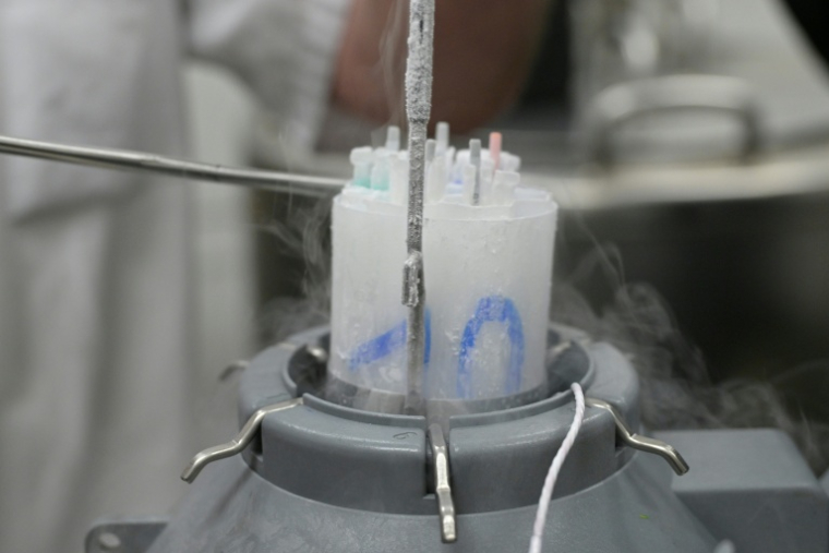 Flacons contenant du sperme congelé au Centre d'étude et de conservation des œufs et du sperme humains (CECOS), à Rennes, le 12 mars 2024 ( AFP / Damien MEYER )
