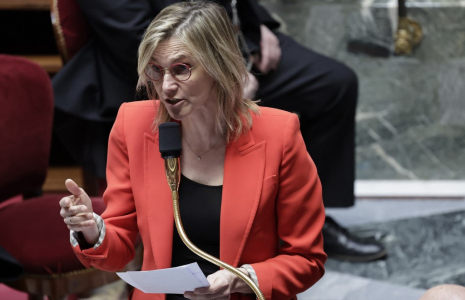 Agnes Pannier-Runacher, le 9 avril 2025, à l'Assemblée nationale ( AFP / STEPHANE DE SAKUTIN )