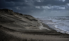 Biscarrosse, le 11 mars 2024. ( AFP / CHRISTOPHE ARCHAMBAULT )