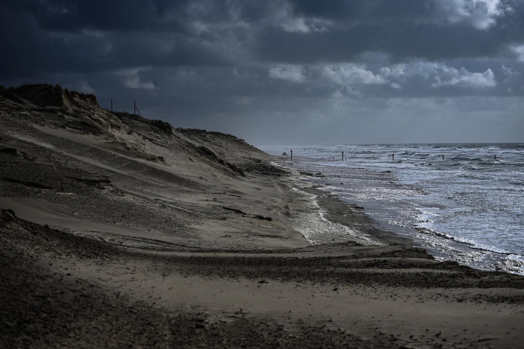 Biscarrosse, le 11 mars 2024. ( AFP / CHRISTOPHE ARCHAMBAULT )