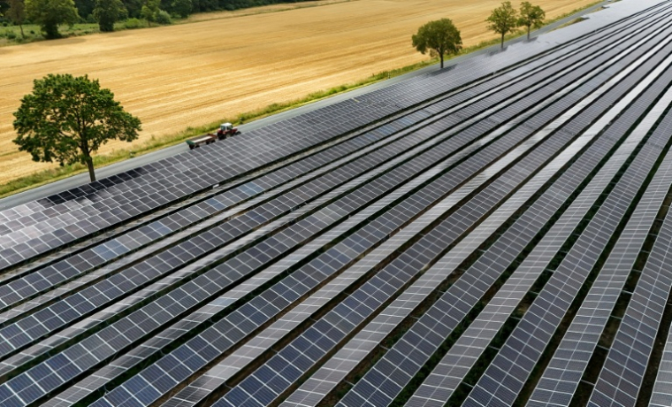 Installation agrivoltaïque à Wadersloh (ouest), juillet 2026 ( AFP / Ina FASSBENDER )