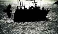 Inquiets face à la flambée des prix du gazole, les pêcheurs français ont réclamé des "mesures d'urgence" pour leur permettre de poursuivre leur activité ( AFP / Fred TANNEAU )