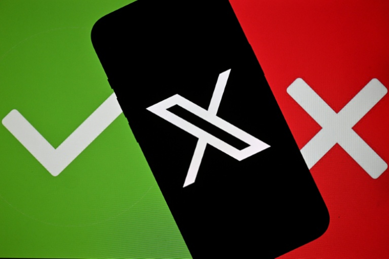 L'Arcom, régulateur du numérique, a recensé les propos et stéréotypes sexistes circulant sur des grandes plateformes ( AFP / Lionel BONAVENTURE )