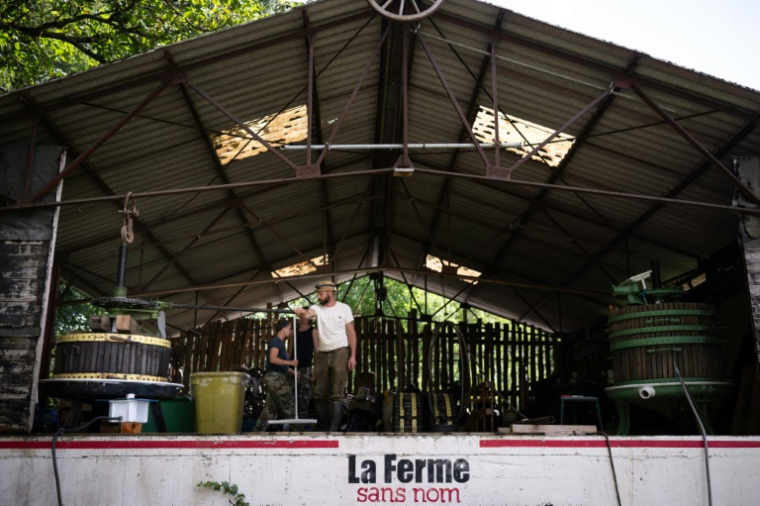 Malik Oudni, propriétaire de "La ferme sans nom" où il presse manuellement les raisins de son exploitation, à Colmar, le 5 septembre 2025 ( AFP / SEBASTIEN BOZON )