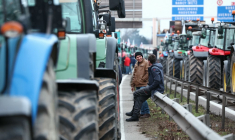 ( AFP / FREDERICK FLORIN )