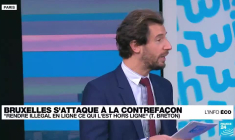 Le site américain Wish dans le viseur de Bercy