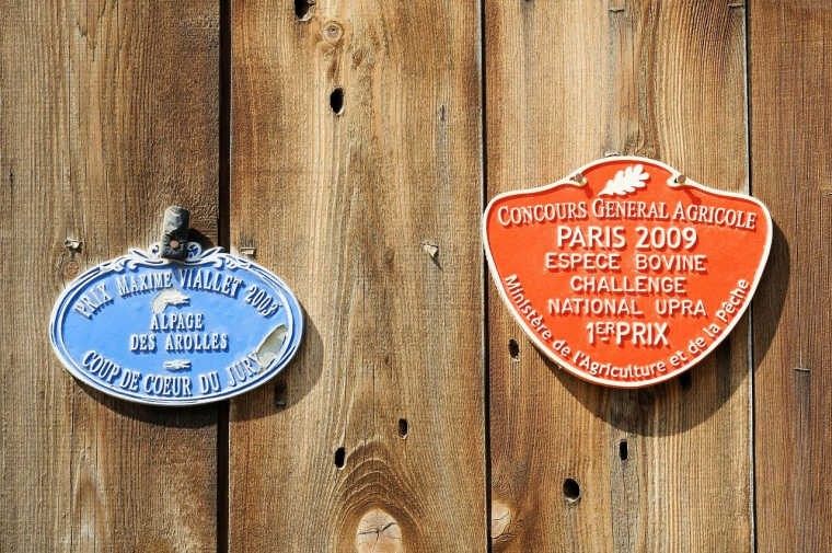 (Crédits photo : Adobe Stock -  )