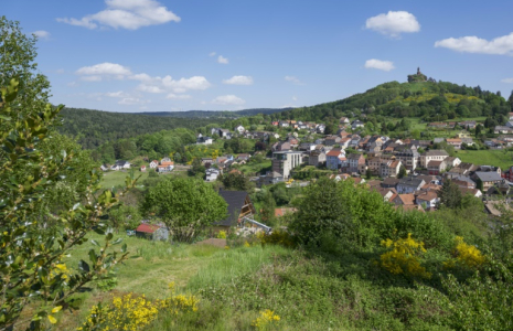 Dabo, le village où a été retrouvée la Chouette d'or, en Moselle, le 3 mai 2025 ( AFP / Jean-Christophe VERHAEGEN )