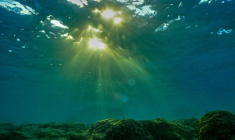 Le réchauffement des océans a de multiples conséquences: il dilate l'eau, ce qui élève le niveau de la mer, renforce les vagues de chaleur marines qui affaiblissent les coraux, raréfie les poissons par endroits et aggrave des phénomènes météorologiques extrêmes ( AFP / Ibrahim CHALHOUB )