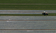 Mercosur-L'UE parvient à un accord provisoire sur le renforcement des mesures de sauvegarde