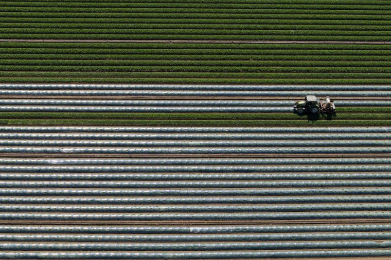 Mercosur-L'UE parvient à un accord provisoire sur le renforcement des mesures de sauvegarde