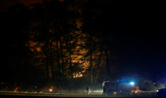 Des pompiers luttent contre un incendie dans la forêt de Fontainebleau, à Noisy-sur-Ecole, le 13 juillet 2026 en Seine-et-Marne ( AFP / GEOFFROY VAN DER HASSELT )