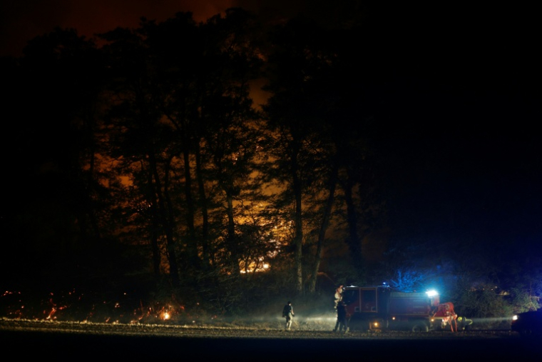 Des pompiers luttent contre un incendie dans la forêt de Fontainebleau, à Noisy-sur-Ecole, le 13 juillet 2026 en Seine-et-Marne ( AFP / GEOFFROY VAN DER HASSELT )