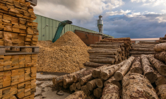 Bois dans une scierie. (Crédits: Adobe Stock)