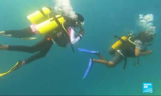 Aux Maldives, des initiatives locales pour sauver les coraux